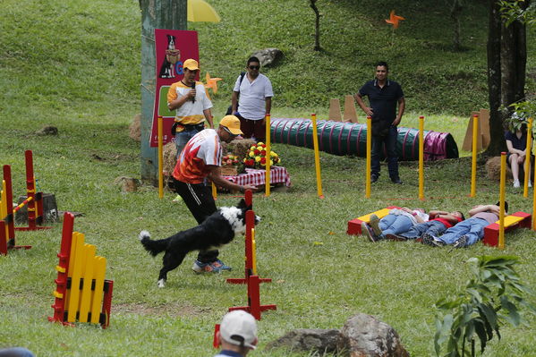 Día de la Familia EPM 2017
Día de la Familia EPM 2017
Fecha: Julio 16 de 2017
Para descargar esta fotografía en alta resolución, haga clic sobre la imagen hasta que la misma se despliegue en la pantalla completa; luego dé clic derecho y elija la opción "guardar imagen como". 
En caso de publicación por cualquier medio, solicitamos acompañarla del crédito: "Foto EPM"
Palabras clave: Día Familia EPM 2017