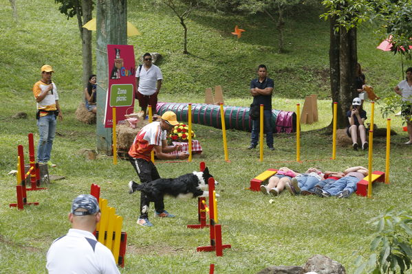 Día de la Familia EPM 2017
Día de la Familia EPM 2017
Fecha: Julio 16 de 2017
Para descargar esta fotografía en alta resolución, haga clic sobre la imagen hasta que la misma se despliegue en la pantalla completa; luego dé clic derecho y elija la opción "guardar imagen como". 
En caso de publicación por cualquier medio, solicitamos acompañarla del crédito: "Foto EPM"
Palabras clave: Día Familia EPM 2017