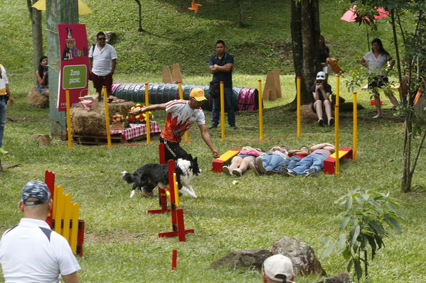 Día de la Familia EPM 2017
Día de la Familia EPM 2017
Fecha: Julio 16 de 2017
Para descargar esta fotografía en alta resolución, haga clic sobre la imagen hasta que la misma se despliegue en la pantalla completa; luego dé clic derecho y elija la opción "guardar imagen como". 
En caso de publicación por cualquier medio, solicitamos acompañarla del crédito: "Foto EPM"
Palabras clave: Día Familia EPM 2017