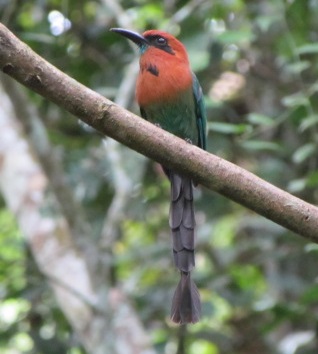 Protección ambiental
Protección ambiental.
Fecha: 2021 ABRIL 21.
Para descargar esta fotografía en alta resolución, haga clic sobre la imagen hasta que la misma se despliegue en la pantalla completa; luego dé clic derecho y elija la opción "guardar imagen como". 
En caso de publicación por cualquier medio, solicitamos acompañarla del crédito: "Foto EPM"
Palabras clave: Protección ambiental