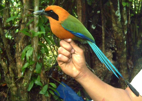 Protección ambiental
Protección ambiental.
Fecha: 2021 ABRIL 21.
Para descargar esta fotografía en alta resolución, haga clic sobre la imagen hasta que la misma se despliegue en la pantalla completa; luego dé clic derecho y elija la opción "guardar imagen como". 
En caso de publicación por cualquier medio, solicitamos acompañarla del crédito: "Foto EPM"
Palabras clave: Protección ambiental