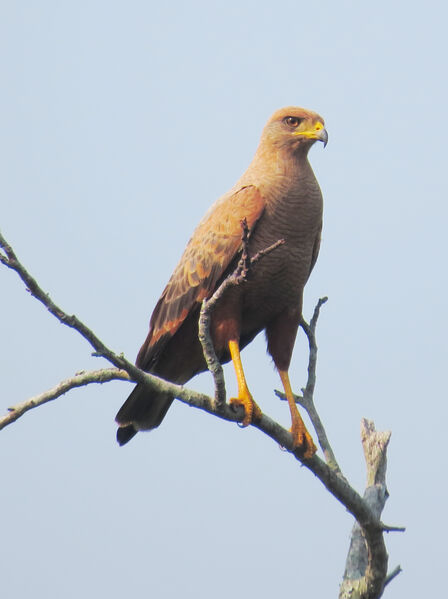 Protección ambiental
Protección ambiental.
Fecha: 2021 ABRIL 21.
Para descargar esta fotografía en alta resolución, haga clic sobre la imagen hasta que la misma se despliegue en la pantalla completa; luego dé clic derecho y elija la opción "guardar imagen como". 
En caso de publicación por cualquier medio, solicitamos acompañarla del crédito: "Foto EPM"
Palabras clave: Protección ambiental