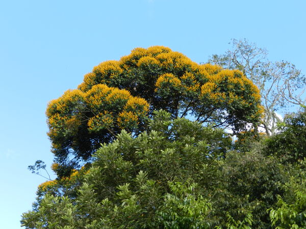 Protección ambiental
Protección ambiental.
Fecha: 2021 ABRIL 21.
Para descargar esta fotografía en alta resolución, haga clic sobre la imagen hasta que la misma se despliegue en la pantalla completa; luego dé clic derecho y elija la opción "guardar imagen como". 
En caso de publicación por cualquier medio, solicitamos acompañarla del crédito: "Foto EPM"
Palabras clave: Protección ambiental