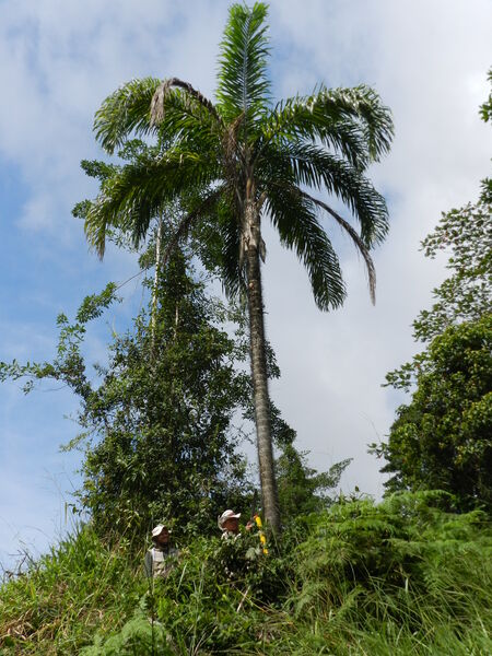 Protección ambiental
Protección ambiental.
Fecha: 2021 ABRIL 21.
Para descargar esta fotografía en alta resolución, haga clic sobre la imagen hasta que la misma se despliegue en la pantalla completa; luego dé clic derecho y elija la opción "guardar imagen como". 
En caso de publicación por cualquier medio, solicitamos acompañarla del crédito: "Foto EPM"
Palabras clave: Protección ambiental