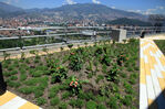 Nombre del archivo=IMG_8734.jpg
Tamaño del archivo=6522KiB
Dimensiones=3200x2133
Fecha añadida=Julio 27, 2021 IMG_8734.jpg
