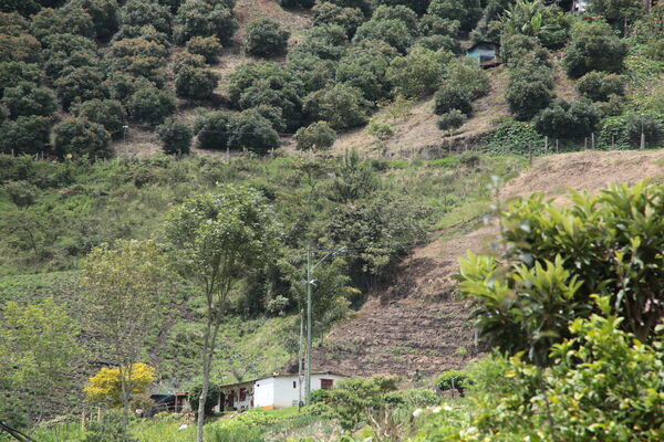 Agua potable vereda Granizal
Agua potable vereda Granizal
Fecha: 2021 Junio 15
Para descargar esta fotografía en alta resolución, haga clic sobre la imagen hasta que la misma se despliegue en la pantalla completa; luego dé clic derecho y elija la opción "guardar imagen como". 
En caso de publicación por cualquier medio, solicitamos acompañarla del crédito: "Foto EPM"
Palabras clave: Agua potable vereda Granizal