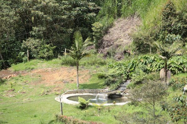 Agua potable vereda Granizal
Agua potable vereda Granizal
Fecha: 2021 Junio 15
Para descargar esta fotografía en alta resolución, haga clic sobre la imagen hasta que la misma se despliegue en la pantalla completa; luego dé clic derecho y elija la opción "guardar imagen como". 
En caso de publicación por cualquier medio, solicitamos acompañarla del crédito: "Foto EPM"
Palabras clave: Agua potable vereda Granizal