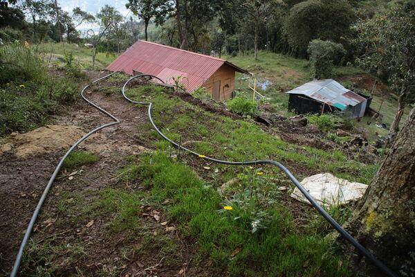 Agua potable vereda Granizal
Agua potable vereda Granizal
Fecha: 2021 Junio 15
Para descargar esta fotografía en alta resolución, haga clic sobre la imagen hasta que la misma se despliegue en la pantalla completa; luego dé clic derecho y elija la opción "guardar imagen como". 
En caso de publicación por cualquier medio, solicitamos acompañarla del crédito: "Foto EPM"
Palabras clave: Agua potable vereda Granizal