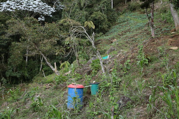 Agua potable vereda Granizal
Agua potable vereda Granizal
Fecha: 2021 Junio 15
Para descargar esta fotografía en alta resolución, haga clic sobre la imagen hasta que la misma se despliegue en la pantalla completa; luego dé clic derecho y elija la opción "guardar imagen como". 
En caso de publicación por cualquier medio, solicitamos acompañarla del crédito: "Foto EPM"
Palabras clave: Agua potable vereda Granizal