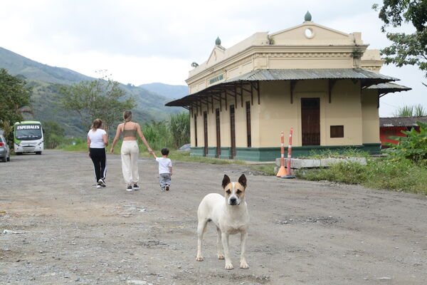 Restauración bien interés cultural Casa Ingenieros
Restauración bien interés cultural Casa Ingenieros.
Fecha: 25 Marzo 2021.
Para descargar esta fotografía en alta resolución, haga clic sobre la imagen hasta que la misma se despliegue en la pantalla completa; luego dé clic derecho y elija la opción "guardar imagen como". 
En caso de publicación por cualquier medio, solicitamos acompañarla del crédito: "Foto EPM"
Palabras clave: Restauración bien interés cultural Casa Ingenieros