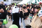 Filename=IMG_4782.JPG
Filesize=5654KiB
Dimensions=5472x3648
Date added=Oct 29, 2021 IMG_4782.JPG