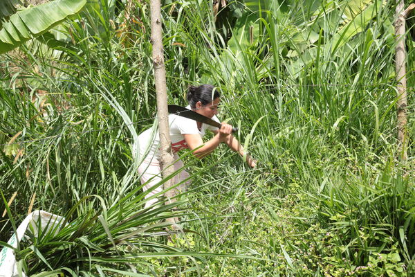 Agua Potable Vereda Granizal 
Agua potable vereda Granizal
Fecha: 2021 Junio 15
Para descargar esta fotografía en alta resolución, haga clic sobre la imagen hasta que la misma se despliegue en la pantalla completa; luego dé clic derecho y elija la opción "guardar imagen como". 
En caso de publicación por cualquier medio, solicitamos acompañarla del crédito: "Foto EPM"
Palabras clave: Agua Potable Vereda Granizal