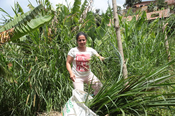 Agua Potable Vereda Granizal 
Agua potable vereda Granizal
Fecha: 2021 Junio 15
Para descargar esta fotografía en alta resolución, haga clic sobre la imagen hasta que la misma se despliegue en la pantalla completa; luego dé clic derecho y elija la opción "guardar imagen como". 
En caso de publicación por cualquier medio, solicitamos acompañarla del crédito: "Foto EPM"
Palabras clave: Agua Potable Vereda Granizal