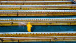 DJI_0037.jpg