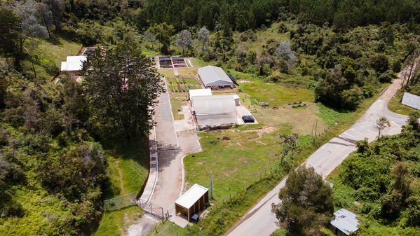 Vivero Montaña
Vivero La Montaña
Fecha: 30 Septiembre 2021
Para descargar esta fotografía en alta resolución, haga clic sobre la imagen hasta que la misma se despliegue en la pantalla completa; luego dé clic derecho y elija la opción "guardar imagen como". 
En caso de publicación por cualquier medio, solicitamos acompañarla del crédito: "Foto EPM"
Palabras clave: Vivero Montaña