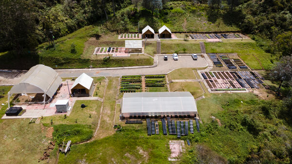 Vivero Montaña
Vivero La Montaña
Fecha: 30 Septiembre 2021
Para descargar esta fotografía en alta resolución, haga clic sobre la imagen hasta que la misma se despliegue en la pantalla completa; luego dé clic derecho y elija la opción "guardar imagen como". 
En caso de publicación por cualquier medio, solicitamos acompañarla del crédito: "Foto EPM"
Palabras clave: Vivero Montaña