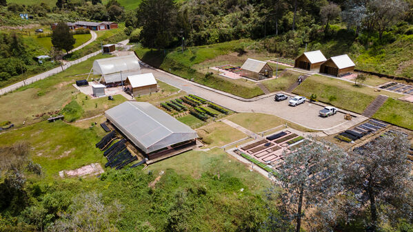 Vivero Montaña
Vivero La Montaña
Fecha: 30 Septiembre 2021
Para descargar esta fotografía en alta resolución, haga clic sobre la imagen hasta que la misma se despliegue en la pantalla completa; luego dé clic derecho y elija la opción "guardar imagen como". 
En caso de publicación por cualquier medio, solicitamos acompañarla del crédito: "Foto EPM"
Palabras clave: Vivero Montaña