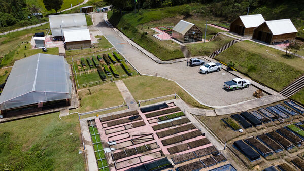 Vivero Montaña
Vivero La Montaña
Fecha: 30 Septiembre 2021
Para descargar esta fotografía en alta resolución, haga clic sobre la imagen hasta que la misma se despliegue en la pantalla completa; luego dé clic derecho y elija la opción "guardar imagen como". 
En caso de publicación por cualquier medio, solicitamos acompañarla del crédito: "Foto EPM"
Palabras clave: Vivero Montaña