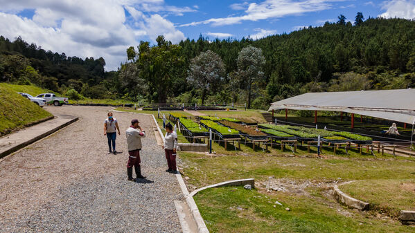 Vivero Montaña
Vivero La Montaña
Fecha: 30 Septiembre 2021
Para descargar esta fotografía en alta resolución, haga clic sobre la imagen hasta que la misma se despliegue en la pantalla completa; luego dé clic derecho y elija la opción "guardar imagen como". 
En caso de publicación por cualquier medio, solicitamos acompañarla del crédito: "Foto EPM"
Palabras clave: Vivero Montaña