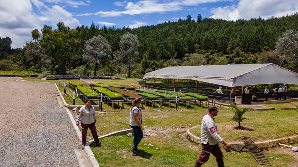 Vivero Montaña
Vivero La Montaña
Fecha: 30 Septiembre 2021
Para descargar esta fotografía en alta resolución, haga clic sobre la imagen hasta que la misma se despliegue en la pantalla completa; luego dé clic derecho y elija la opción "guardar imagen como". 
En caso de publicación por cualquier medio, solicitamos acompañarla del crédito: "Foto EPM"
Palabras clave: Vivero Montaña