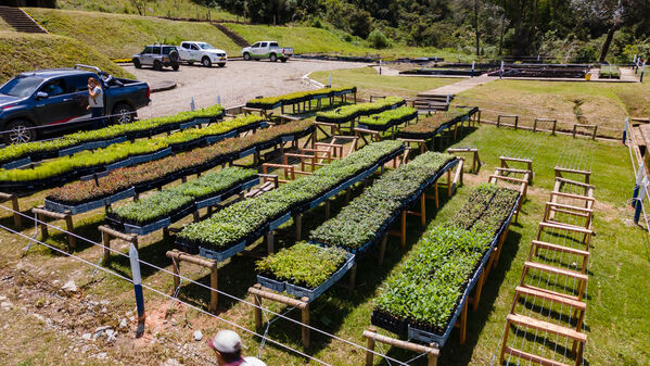 Vivero Montaña
Vivero La Montaña
Fecha: 30 Septiembre 2021
Para descargar esta fotografía en alta resolución, haga clic sobre la imagen hasta que la misma se despliegue en la pantalla completa; luego dé clic derecho y elija la opción "guardar imagen como". 
En caso de publicación por cualquier medio, solicitamos acompañarla del crédito: "Foto EPM"
Palabras clave: Vivero Montaña