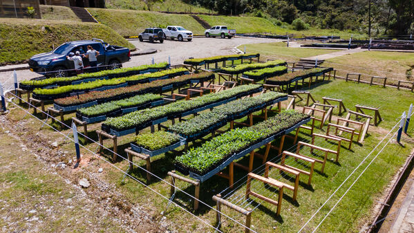 Vivero Montaña
Vivero La Montaña
Fecha: 30 Septiembre 2021
Para descargar esta fotografía en alta resolución, haga clic sobre la imagen hasta que la misma se despliegue en la pantalla completa; luego dé clic derecho y elija la opción "guardar imagen como". 
En caso de publicación por cualquier medio, solicitamos acompañarla del crédito: "Foto EPM"
Palabras clave: Vivero Montaña