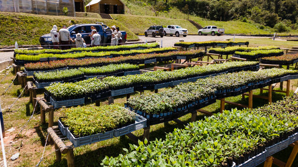 Vivero Montaña
Vivero La Montaña
Fecha: 30 Septiembre 2021
Para descargar esta fotografía en alta resolución, haga clic sobre la imagen hasta que la misma se despliegue en la pantalla completa; luego dé clic derecho y elija la opción "guardar imagen como". 
En caso de publicación por cualquier medio, solicitamos acompañarla del crédito: "Foto EPM"
Palabras clave: Vivero Montaña