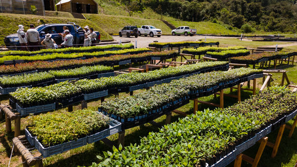 Vivero Montaña
Vivero La Montaña
Fecha: 30 Septiembre 2021
Para descargar esta fotografía en alta resolución, haga clic sobre la imagen hasta que la misma se despliegue en la pantalla completa; luego dé clic derecho y elija la opción "guardar imagen como". 
En caso de publicación por cualquier medio, solicitamos acompañarla del crédito: "Foto EPM"
Palabras clave: Vivero Montaña