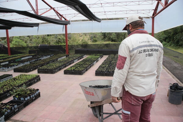 Vivero Montaña
Vivero La Montaña
Fecha: 30 Septiembre 2021
Para descargar esta fotografía en alta resolución, haga clic sobre la imagen hasta que la misma se despliegue en la pantalla completa; luego dé clic derecho y elija la opción "guardar imagen como". 
En caso de publicación por cualquier medio, solicitamos acompañarla del crédito: "Foto EPM"
Palabras clave: Vivero Montaña