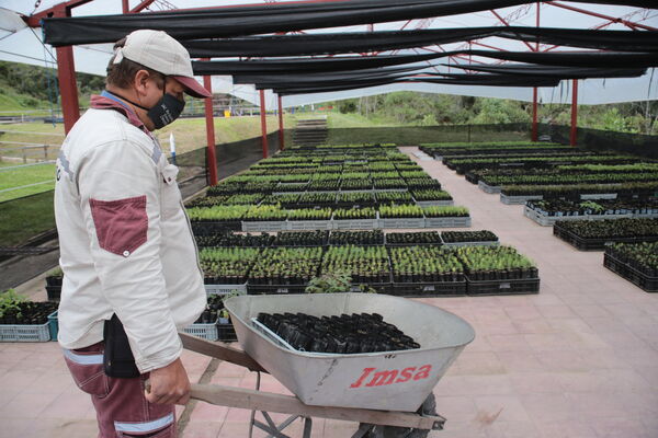 Vivero Montaña
Vivero La Montaña
Fecha: 30 Septiembre 2021
Para descargar esta fotografía en alta resolución, haga clic sobre la imagen hasta que la misma se despliegue en la pantalla completa; luego dé clic derecho y elija la opción "guardar imagen como". 
En caso de publicación por cualquier medio, solicitamos acompañarla del crédito: "Foto EPM"
Palabras clave: Vivero Montaña