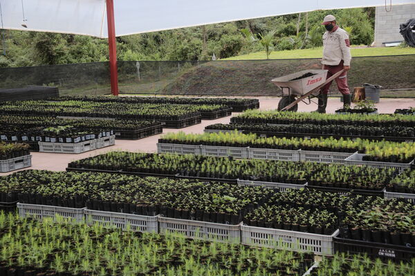 Vivero Montaña
Vivero La Montaña
Fecha: 30 Septiembre 2021
Para descargar esta fotografía en alta resolución, haga clic sobre la imagen hasta que la misma se despliegue en la pantalla completa; luego dé clic derecho y elija la opción "guardar imagen como". 
En caso de publicación por cualquier medio, solicitamos acompañarla del crédito: "Foto EPM"
Palabras clave: Vivero Montaña