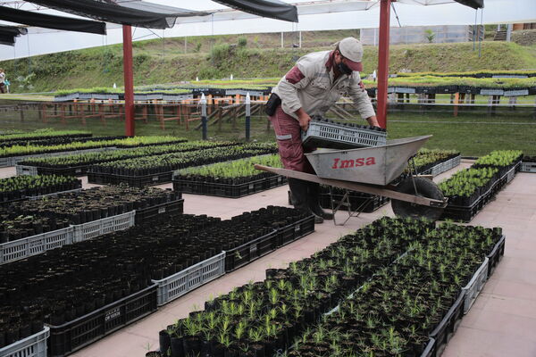 Vivero Montaña
Vivero La Montaña
Fecha: 30 Septiembre 2021
Para descargar esta fotografía en alta resolución, haga clic sobre la imagen hasta que la misma se despliegue en la pantalla completa; luego dé clic derecho y elija la opción "guardar imagen como". 
En caso de publicación por cualquier medio, solicitamos acompañarla del crédito: "Foto EPM"
Palabras clave: Vivero Montaña