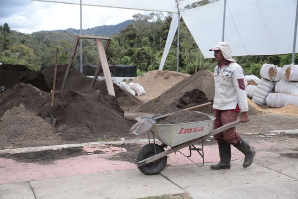 Vivero Montaña
Vivero La Montaña
Fecha: 30 Septiembre 2021
Para descargar esta fotografía en alta resolución, haga clic sobre la imagen hasta que la misma se despliegue en la pantalla completa; luego dé clic derecho y elija la opción "guardar imagen como". 
En caso de publicación por cualquier medio, solicitamos acompañarla del crédito: "Foto EPM"
Palabras clave: Vivero Montaña