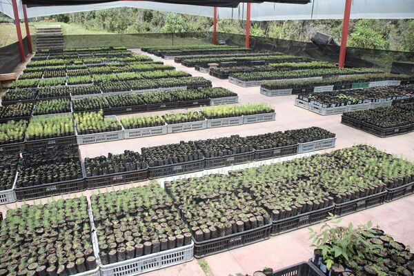 Vivero Montaña
Vivero La Montaña
Fecha: 30 Septiembre 2021
Para descargar esta fotografía en alta resolución, haga clic sobre la imagen hasta que la misma se despliegue en la pantalla completa; luego dé clic derecho y elija la opción "guardar imagen como". 
En caso de publicación por cualquier medio, solicitamos acompañarla del crédito: "Foto EPM"
Palabras clave: Vivero Montaña
