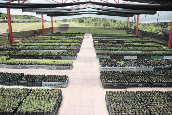 Vivero Montaña
Vivero La Montaña
Fecha: 30 Septiembre 2021
Para descargar esta fotografía en alta resolución, haga clic sobre la imagen hasta que la misma se despliegue en la pantalla completa; luego dé clic derecho y elija la opción "guardar imagen como". 
En caso de publicación por cualquier medio, solicitamos acompañarla del crédito: "Foto EPM"
Palabras clave: Vivero Montaña