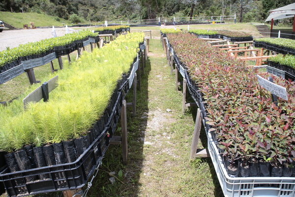 Vivero Montaña
Vivero La Montaña
Fecha: 30 Septiembre 2021
Para descargar esta fotografía en alta resolución, haga clic sobre la imagen hasta que la misma se despliegue en la pantalla completa; luego dé clic derecho y elija la opción "guardar imagen como". 
En caso de publicación por cualquier medio, solicitamos acompañarla del crédito: "Foto EPM"
Palabras clave: Vivero Montaña