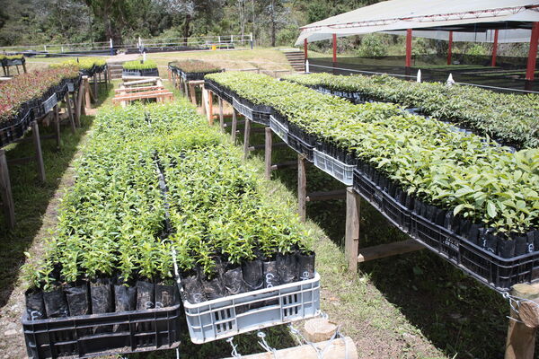 Vivero Montaña
Vivero La Montaña
Fecha: 30 Septiembre 2021
Para descargar esta fotografía en alta resolución, haga clic sobre la imagen hasta que la misma se despliegue en la pantalla completa; luego dé clic derecho y elija la opción "guardar imagen como". 
En caso de publicación por cualquier medio, solicitamos acompañarla del crédito: "Foto EPM"
Palabras clave: Vivero Montaña