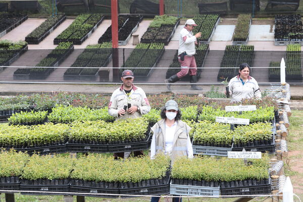 Vivero Montaña
Vivero La Montaña
Fecha: 30 Septiembre 2021
Para descargar esta fotografía en alta resolución, haga clic sobre la imagen hasta que la misma se despliegue en la pantalla completa; luego dé clic derecho y elija la opción "guardar imagen como". 
En caso de publicación por cualquier medio, solicitamos acompañarla del crédito: "Foto EPM"
Palabras clave: Vivero Montaña