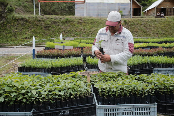 Vivero Montaña
Vivero La Montaña
Fecha: 30 Septiembre 2021
Para descargar esta fotografía en alta resolución, haga clic sobre la imagen hasta que la misma se despliegue en la pantalla completa; luego dé clic derecho y elija la opción "guardar imagen como". 
En caso de publicación por cualquier medio, solicitamos acompañarla del crédito: "Foto EPM"
Palabras clave: Vivero Montaña