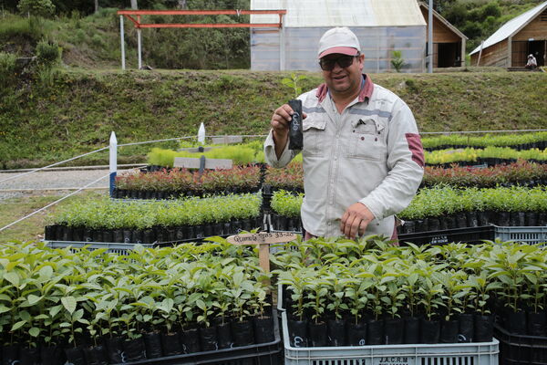Vivero Montaña
Vivero La Montaña
Fecha: 30 Septiembre 2021
Para descargar esta fotografía en alta resolución, haga clic sobre la imagen hasta que la misma se despliegue en la pantalla completa; luego dé clic derecho y elija la opción "guardar imagen como". 
En caso de publicación por cualquier medio, solicitamos acompañarla del crédito: "Foto EPM"
Palabras clave: Vivero Montaña