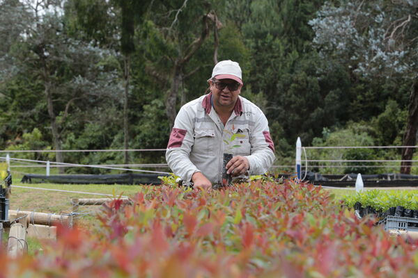 Vivero Montaña
Vivero La Montaña
Fecha: 30 Septiembre 2021
Para descargar esta fotografía en alta resolución, haga clic sobre la imagen hasta que la misma se despliegue en la pantalla completa; luego dé clic derecho y elija la opción "guardar imagen como". 
En caso de publicación por cualquier medio, solicitamos acompañarla del crédito: "Foto EPM"
Palabras clave: Vivero Montaña
