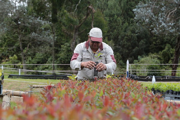 Vivero Montaña
Vivero La Montaña
Fecha: 30 Septiembre 2021
Para descargar esta fotografía en alta resolución, haga clic sobre la imagen hasta que la misma se despliegue en la pantalla completa; luego dé clic derecho y elija la opción "guardar imagen como". 
En caso de publicación por cualquier medio, solicitamos acompañarla del crédito: "Foto EPM"
Palabras clave: Vivero Montaña