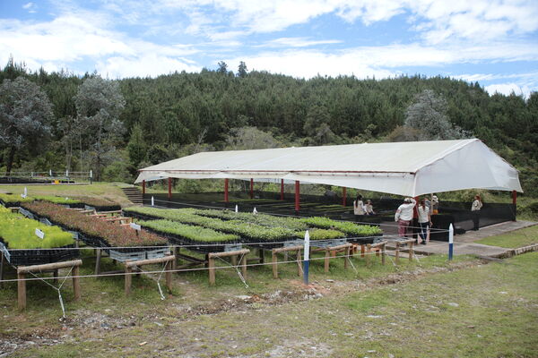 Vivero Montaña
Vivero La Montaña
Fecha: 30 Septiembre 2021
Para descargar esta fotografía en alta resolución, haga clic sobre la imagen hasta que la misma se despliegue en la pantalla completa; luego dé clic derecho y elija la opción "guardar imagen como". 
En caso de publicación por cualquier medio, solicitamos acompañarla del crédito: "Foto EPM"
Palabras clave: Vivero Montaña