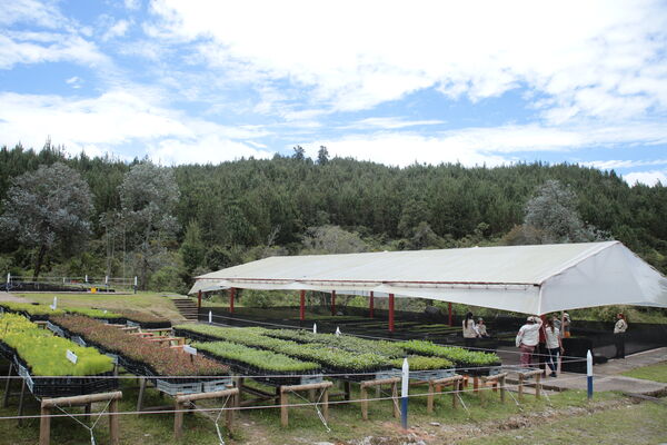 Vivero Montaña
Vivero La Montaña
Fecha: 30 Septiembre 2021
Para descargar esta fotografía en alta resolución, haga clic sobre la imagen hasta que la misma se despliegue en la pantalla completa; luego dé clic derecho y elija la opción "guardar imagen como". 
En caso de publicación por cualquier medio, solicitamos acompañarla del crédito: "Foto EPM"
Palabras clave: Vivero Montaña