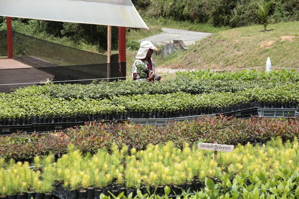 Vivero Montaña
Vivero La Montaña
Fecha: 30 Septiembre 2021
Para descargar esta fotografía en alta resolución, haga clic sobre la imagen hasta que la misma se despliegue en la pantalla completa; luego dé clic derecho y elija la opción "guardar imagen como". 
En caso de publicación por cualquier medio, solicitamos acompañarla del crédito: "Foto EPM"
Palabras clave: Vivero Montaña