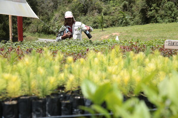 Vivero Montaña
Vivero La Montaña
Fecha: 30 Septiembre 2021
Para descargar esta fotografía en alta resolución, haga clic sobre la imagen hasta que la misma se despliegue en la pantalla completa; luego dé clic derecho y elija la opción "guardar imagen como". 
En caso de publicación por cualquier medio, solicitamos acompañarla del crédito: "Foto EPM"
Palabras clave: Vivero Montaña