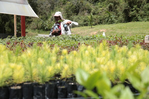 Vivero Montaña
Vivero La Montaña
Fecha: 30 Septiembre 2021
Para descargar esta fotografía en alta resolución, haga clic sobre la imagen hasta que la misma se despliegue en la pantalla completa; luego dé clic derecho y elija la opción "guardar imagen como". 
En caso de publicación por cualquier medio, solicitamos acompañarla del crédito: "Foto EPM"
Palabras clave: Vivero Montaña