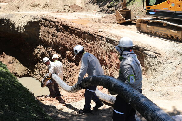 Obras Arreglo Daño Av. Regional
Obras Arreglo Daño Av. Regional
Fecha: 8 Agosto 2022
Para descargar esta fotografía en alta resolución, haga clic sobre la imagen hasta que la misma se despliegue en la pantalla completa; luego dé clic derecho y elija la opción "guardar imagen como". 
En caso de publicación por cualquier medio, solicitamos acompañarla del crédito: "Foto EPM"

Palabras clave: Obras Arreglo Daño Av. Regional