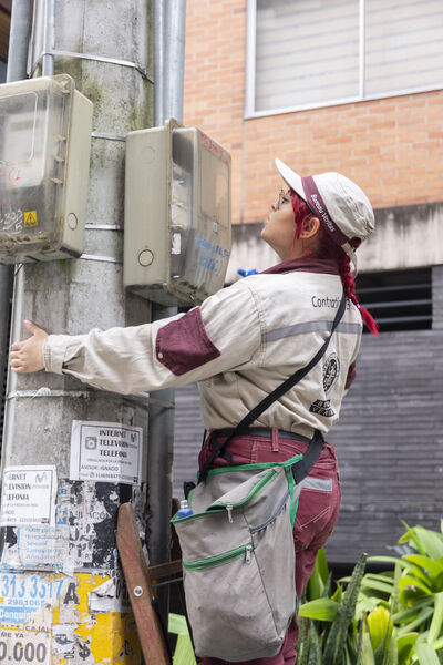 Lectores Contadores
Palabras clave: Lectores Contadores