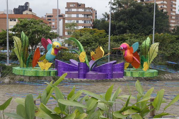 _MG_7285.JPG